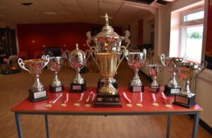 Wilf Mannion Cup Trophies